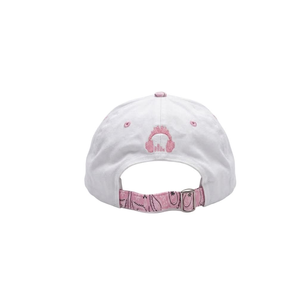 IJDS Paisley Dad Hat