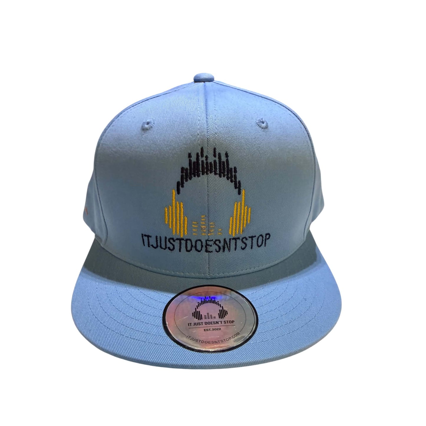 IJDS Wave Logo Snapback