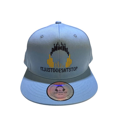 IJDS Wave Logo Snapback