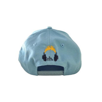 IJDS Wave Logo Snapback